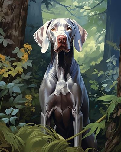 Malen nach Zahlen für Erwachsene,Weimaraner Hund im Garten,Digitale Ölgemälde-Kunstwerke,Bereichern Sie Ihr Leben,40x50cm von ZLYHAL