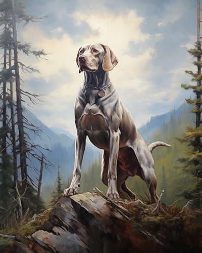 Ölgemälde Malen nach Zahlen Kits Weimaraner Hund, Berg, Landschaft Paint by Numbers Geburtstag Home Haus Deko-Ohne Rahmen,40x50cm von ZLYHAL