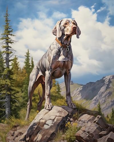 ZLYHAL DIY Malen nach Zahlen,Weimaraner Hund, Berg, Landschaft,Leinwand-Ölgemälde-Set für Erwachsene,40x50cm,ohne Rahmen von ZLYHAL