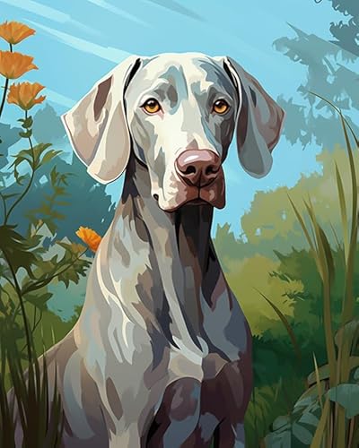 ZLYHAL DIY Malen nach Zahlen,Weimaraner Hund, Garten,Leinwand-Ölgemälde-Set für Erwachsene,40x50cm,ohne Rahmen von ZLYHAL