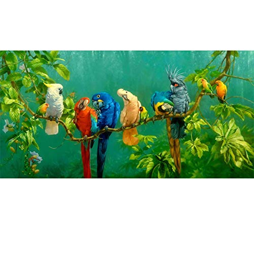 Moderne Dekorative Drucke Bilder Bunte Papageien Tier Malerei Leinwand Malerei Wandkunstdrucke Für Wohnzimmer 55x110cm (22x43in) Mit Rahmen von ZMFBHFBH