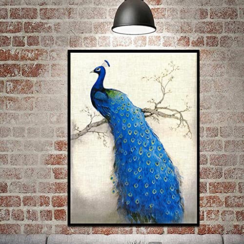 Schöne Pfau Ölgemälde - Leinwand Große Wandbilder für Wohnzimmer Home Bild Lucky Reichtum Vogel Pfau Poster 30x45cm (12x18in) Mit Rahmen von ZMFBHFBH