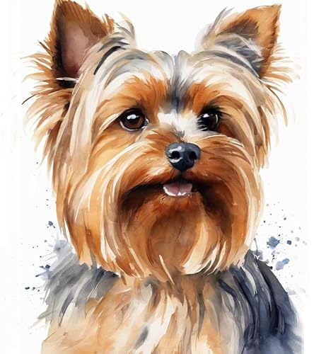 DIY Malen nach Zahlen auf Leinwand,Yorkshire-Terrier-Hund,Einzigartige Farben und Texturen,40x50cm,Ohne Rahmen von ZMHZMY