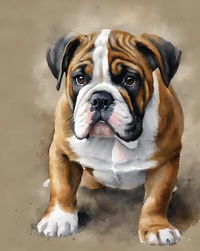 Malen Nach Zahlen Erwachsene Anfänger,Englische Bulldogge, Malen Nach Zahlen für Home Deko Geburtstag Weihnachten Geschenk, Kommt Mit Farbe und Pinsel 40x50cm von ZMHZMY