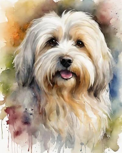 Malen nach Zahlen Aquarell Havaneser Hund Painting by Numbers Kit DIY ölgemälde Kit für Erwachsene,Anfänger Painting Set 16x20 Zoll Leinwanddruck Wandkunst Dekoration von ZMHZMY