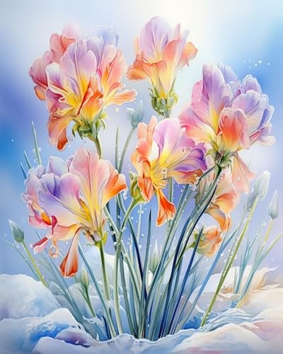 Malen nach Zahlen Blumen, Freesien im Schnee Painting by Numbers Kit DIY ölgemälde Kit für Erwachsene,Anfänger Painting Set 16x20 Zoll Leinwanddruck Wandkunst Dekoration von ZMHZMY