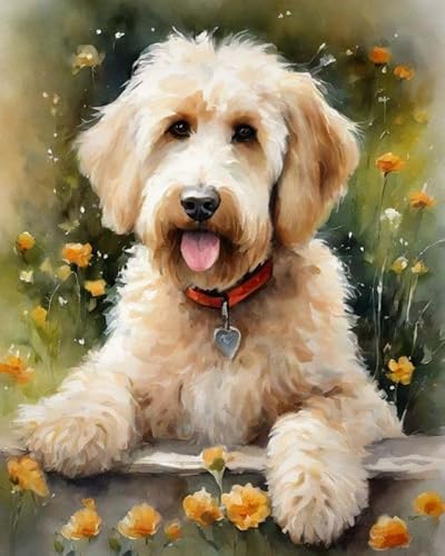 Malen nach Zahlen DIY Handgemalt Ölgemälde Kits für Erwachsene Anfänge Goldendoodle-Hund und Blumen Malen Nach Zahlen Kits für Geschenk Home Deko 40×50cm(Rahmenlos) von ZMHZMY