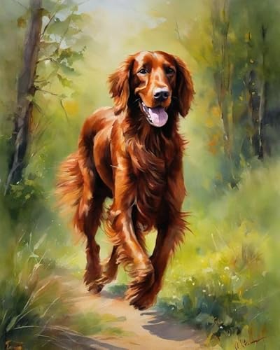 Malen nach Zahlen DIY Handgemalt Ölgemälde Kits für Erwachsene Anfänge Irish Setter Dog auf dem Gras Malen Nach Zahlen Kits für Geschenk Home Deko 40×50cm(Rahmenlos) von ZMHZMY