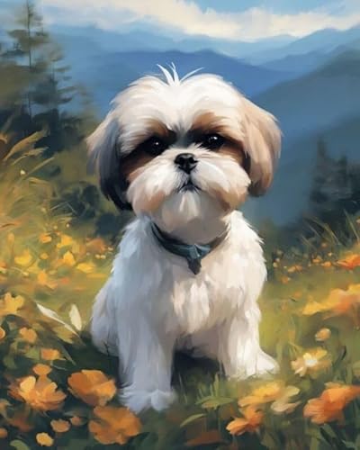 Malen nach Zahlen DIY Handgemalt Ölgemälde Kits für Erwachsene Anfänge Shih Tzu auf Blumenrasen Malen Nach Zahlen Kits für Geschenk Home Deko 40×50cm(Rahmenlos) von ZMHZMY