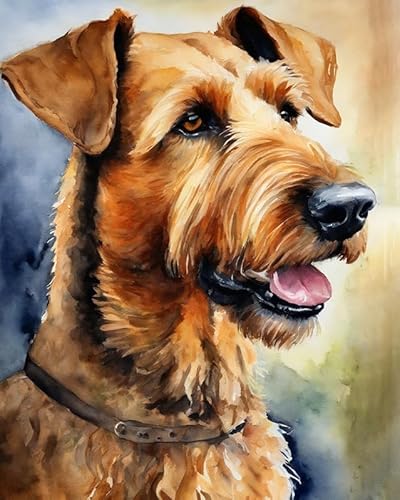 Malen nach Zahlen Erwachsene, Airedale-Terrier-Hund 40 x 50cm DIY Handgemalt Ölgemälde Kits auf Leinwand Geschenk für Weihnachten Geburtstag, Home Haus Deko von ZMHZMY