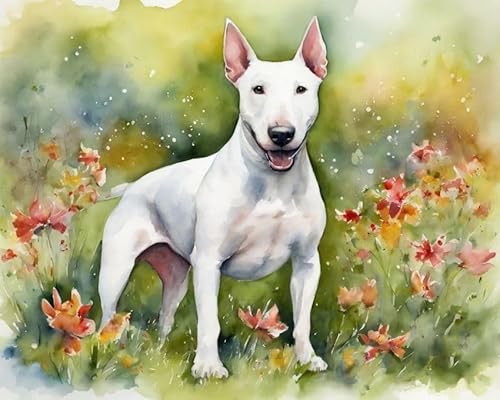 Malen nach Zahlen Erwachsene,Bullterrier-Hund auf Blumenrasen,DIY Malen nach Zahlen Leinwand Ölgemälde Kits Wohnwanddekor Mit Acrylfarben und Pinseln,40x50cm von ZMHZMY