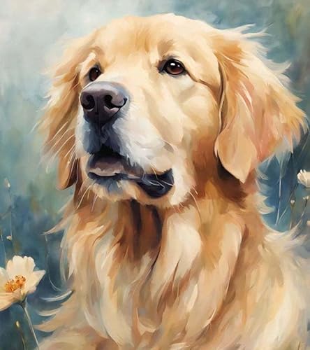 Malen nach Zahlen Erwachsene,Golden Retriever-Hund,DIY Malen nach Zahlen für Erwachsene, Malset mit Leinwand und Pinsel,40 x 50 cm,Rahmenlos von ZMHZMY