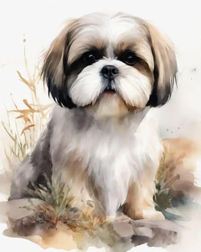 Malen nach Zahlen Erwachsene,Shih Tzu DIY Handgemalt Ölgemälde Kits auf Leinwand Geschenk für Weihnachten Geburtstag Home Haus Deko,40x50cm von ZMHZMY