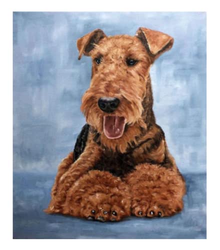 Malen nach Zahlen Erwachsene - Airedale-Terrier-Hund - DIY Malen Nach Zahlen-Vorgedruckt Leinwand-Ölgemälde Geschenk für Erwachsene Kinder Kits Home Haus Dekor 40 * 50 cm von ZMHZMY