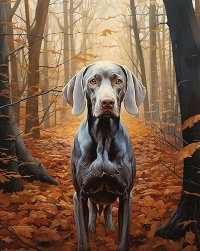 Malen nach Zahlen Erwachsene - DIY Malen Nach Zahlen Weimaraner Hund, Herbstwald - Vorgedruckt Leinwand-Ölgemälde Geschenk für Erwachsene Kits Home Haus Dekor 40x50cm von ZMHZMY