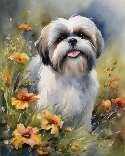 Malen nach Zahlen Erwachsene - Shih Tzu und Blumen - DIY Malen Nach Zahlen-Vorgedruckt Leinwand-Ölgemälde Geschenk für Erwachsene Kits Home Haus Dekor,40x50cm von ZMHZMY