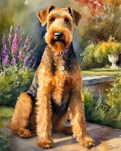 Malen nach Zahlen Kit für Erwachsene, Airedale-Terrier-Hund,Poster Kunst Moderne Leinwand Ölgemälde Home Decor,40x50cm von ZMHZMY