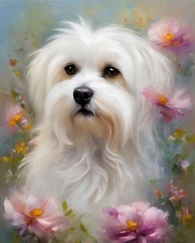 Malen nach Zahlen Malteser Hund und Blumen Painting by Numbers Kit DIY ölgemälde Kit für Erwachsene,Anfänger Painting Set 16x20 Zoll Leinwanddruck Wandkunst Dekoration von ZMHZMY