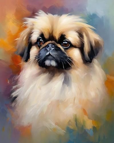 Malen nach Zahlen Pekingese-Hund Painting by Numbers Kit DIY ölgemälde Kit für Erwachsene,Anfänger Painting Set 16x20 Zoll Leinwanddruck Wandkunst Dekoration von ZMHZMY