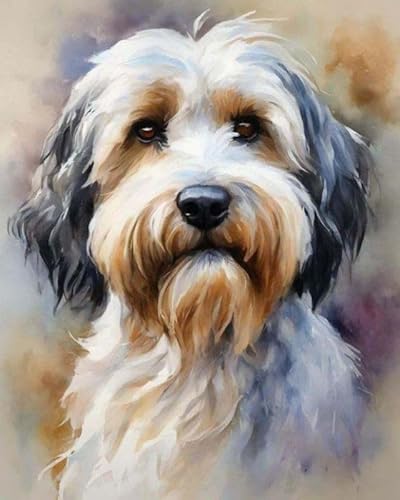 Malen nach Zahlen Tibetischer Terrier-Hund Painting by Numbers Kit DIY ölgemälde Kit für Erwachsene,Anfänger Painting Set 16x20 Zoll Leinwanddruck Wandkunst Dekoration von ZMHZMY