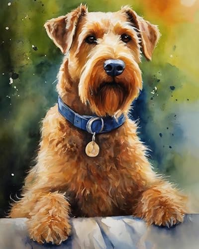 Malen nach Zahlen für Erwachsene, Anfänger, DIY-Geschenk-Leinwand-Malsets,Airedale Terrier Hund und Blumen 40x50cm,Ohne Rahmen von ZMHZMY