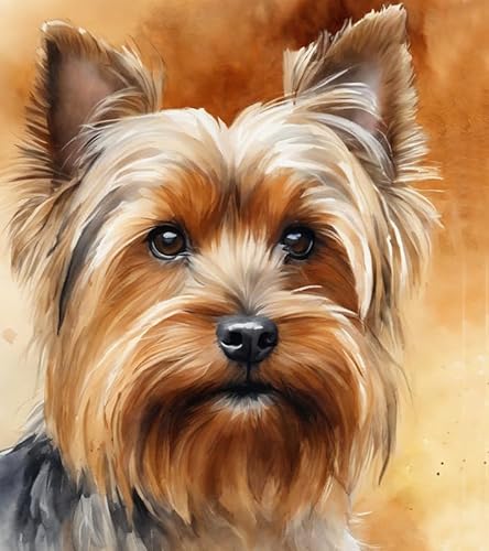 Malen nach Zahlen für Erwachsene, Anfänger, DIY-Geschenk-Leinwand-Malsets,Yorkshire-Terrier-Hund 40x50cm,Ohne Rahmen von ZMHZMY