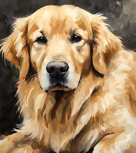 Malen nach Zahlen für Erwachsene,Anfänger-Sets mit Pinseln und Acrylpigmenten,DIY-Leinwandgemälde,Golden Retriever,40x50cm,handgemaltes Spielzeug,Geschenke von ZMHZMY