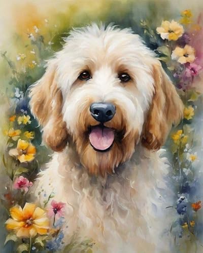 Malen nach Zahlen für Erwachsene,Anfänger-Sets mit Pinseln und Acrylpigmenten,DIY-Leinwandgemälde,Goldendoodle-Hund zwischen Blumen,40x50cm,handgemaltes Spielzeug,Geschenke von ZMHZMY