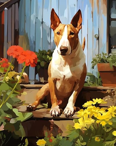 Malen nach Zahlen für Erwachsene,Anfänger auf Leinwand, Bullterrier-Hund im Garten,handgefertigtes Ölgemälde-Set für die Wanddekoration zu Hause 40x50 cm von ZMHZMY