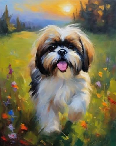 Malen nach Zahlen für Erwachsene,Anfänger auf Leinwand,Shih Tzu auf Blumenrasen,handgefertigtes Ölgemälde-Set für die Wanddekoration zu Hause 40x50 cm von ZMHZMY