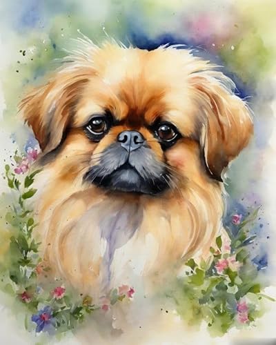 Malen nach Zahlen zum Selbermachen,Pekingese Hunde und Blumen,Malkunst und Kunsthandwerk,Digitales Ölgemälde-Set,Bildkunst,40x50cm,Ohne Rahmen von ZMHZMY