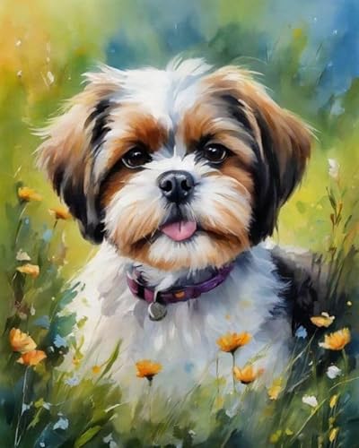 Digitale Malerei auf Leinwand Shih Tzu und Blumen DIY Handgemalt Ölgemälde Kits auf Leinwand Geschenk für Weihnachten Geburtstag Home Haus Deko - Ohne Rahmen,40x50cm von ZMHZMY