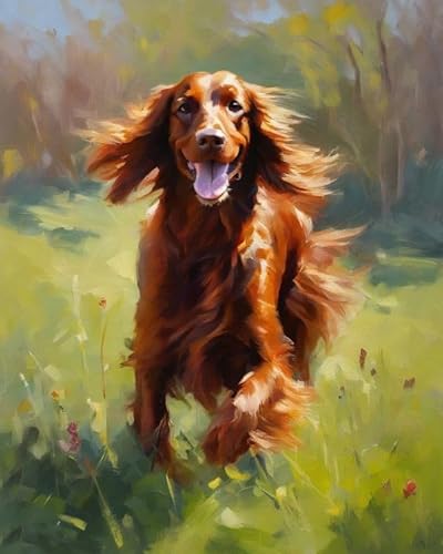 ZMHZMY Malen-nach-Zahlen-Set für Erwachsene,DIY-Ölgemälde-Set auf Leinwand für Anfänger mit Pinseln,Acrylpigmenten,Irish Setter Dog auf dem Gras,40x50cm,Ohne Rahmen von ZMHZMY