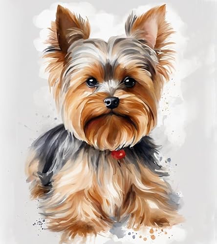 ZMHZMY Malen-nach-Zahlen-Set für Erwachsene,DIY-Ölgemälde-Set auf Leinwand für Anfänger mit Pinseln,Acrylpigmenten,Yorkshire-Terrier,40x50cm,Ohne Rahmen von ZMHZMY