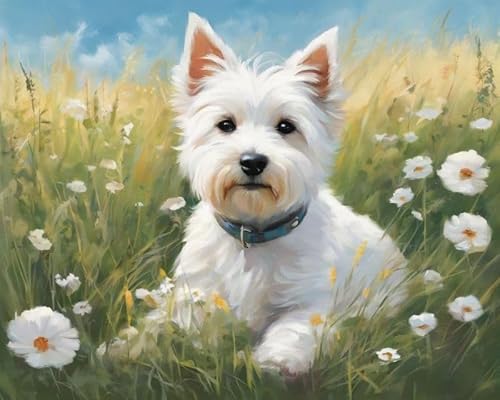 ZMHZMY Ölgemälde nach Zahlen Kit für Erwachsene, West Highland Terrier, Hund, digitales Gemälde auf Leinwand, Wandkunst, Landschaft, 40 x 50 cm von ZMHZMY
