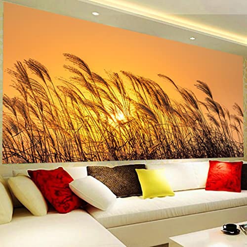 ZOYIEP 5D DIY Diamond Painting Große Vollbohrer Kits, Sonnenuntergang Schilf Diamant Malerei Erwachsene XXL Diamant Painting Kreuzstich Bilder Dekoration (120x50cm) von ZOYIEP