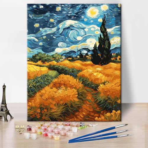 DIY Abstrakter Sternenhimmel Erwachsene Malen nach Zahlen Ländliche Landschaft Malen nach Zahlen Kits Schönes Feld Malen nach Zahlen Herren Damen Malerei Geschenke für Wohnzimmer Dekor 16x20 Zoll von ZOZHI