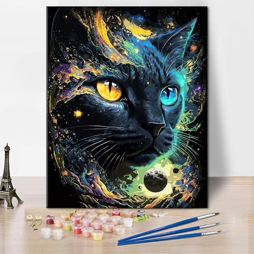 Schwarz-Weiß Malen nach Zahlen Kits Schwarze Katze Malen nach Zahlen Kunstwerk DIY Abstrakte Weltraum-Malerei Herren Damen Malen nach Zahlen Geschenke für Schlafzimmerdekoration 16x20 Zoll von ZOZHI