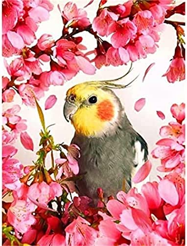 ZOZOIN DIY 5D Diamond Painting Kits Rotkehlchen Vogel Papagei und Blumen Baum malen mit Vollbohrer Runde Diamantkunststickerei Wanddekoration 30x40CM von Homry