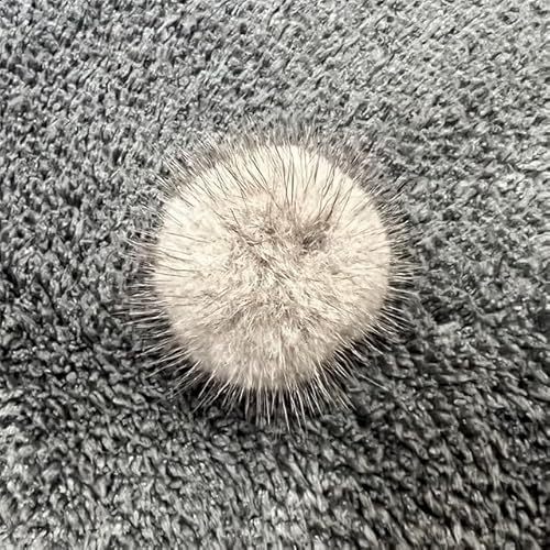 5/10pc 5cm 3cm 4cm Diy Pompon Pelz Kugeln Pompons für Ring Schlüsselbund Schuhe Hüte flauschigen Pom Pom Diy Handwerk Zubehör Materi von ZQMALL