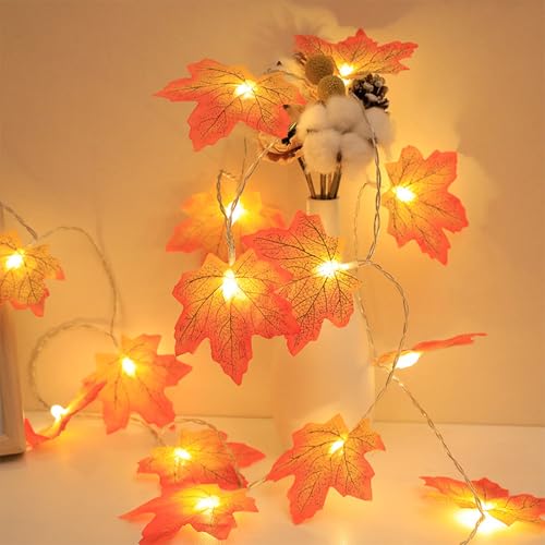 ZQX Halloween Maple Leaf String Lights, 9.8 Feet 20 LEDs, 3D Lights, Battery Operated with Timer, Perfect for Halloween Party Decoration von ZQX