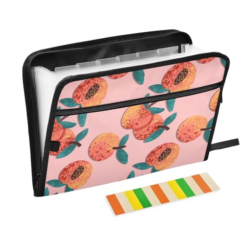 ZRWLUCKY Akkordeanische Dokumentenmappe, 13 Taschen, wasserdicht, Fächermappe, A4-Größe, Reißverschluss, Dokumenten-Organizer für Zuhause, Büro, Klassenzimmer, Reisen, Pfirsichrosa von ZRWLUCKY