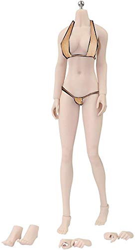 ZSMD Action Figur 1/6 Maßstab Weibliche Nahtlose Körper Figur Puppenkörper mit Edelstahlskelett, Kein Kopfbild (S26A) von ZSMD