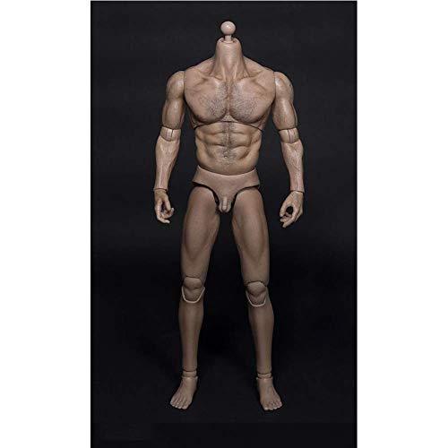 ZSMD Dicke Brust Breite Schulter 1/6 Scale Wolf Onkel Brustbehaarung Erhöht Muskelkörper Bewegliche Puppe Modell Für VERYCOOL Hottoy PHICEN von ZSMD