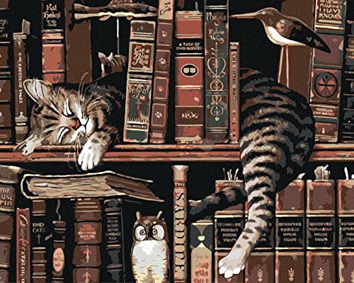 ZUTY 2410200, Malen nach Zahlen-Kater IN DER BIBLIOTHEK 40x50 cm ohne Keilrahmen von ZUTY