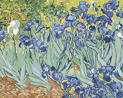 ZUTY 2623231, Malen nach Zahlen-IRIS (Van Gogh) 40x50 cm mit Keilrahmen (bereits gespannt) von ZUTY