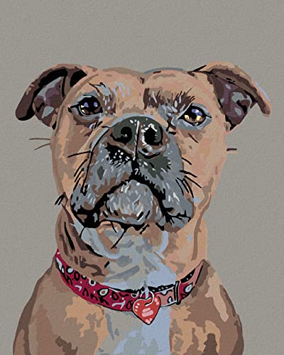 ZUTY 721261, Malen nach Zahlen-WACHSAMER Hund UND Herzchen-Halsband 40x50 cm mit Keilrahmen (bereits gespannt), Framed von ZUTY