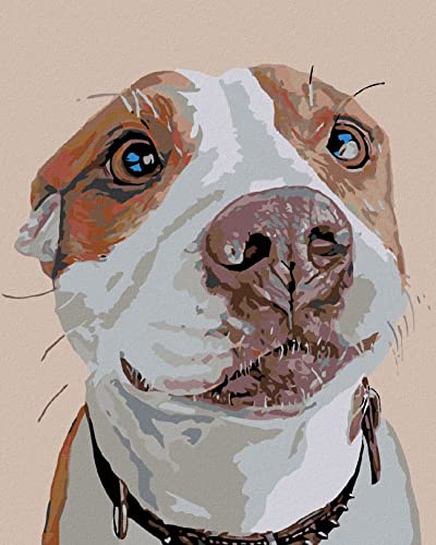 ZUTY 758210, Malen nach Zahlen-WARTENDER Hund 40x50 cm ohne Keilrahmen, not Framed von ZUTY