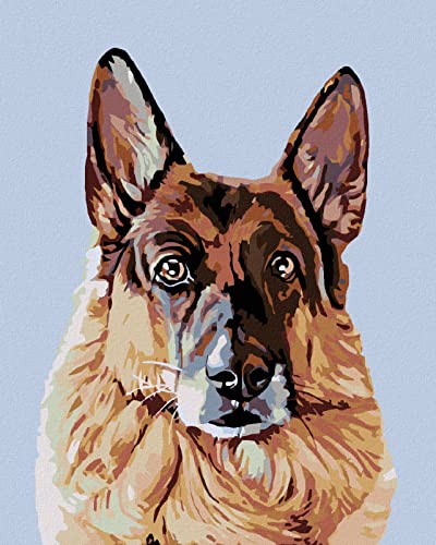 ZUTY 761200, Malen nach Zahlen-SCHAUENDER Deutscher SCHÄFERHUND 40x50 cm ohne Keilrahmen, not Framed von ZUTY