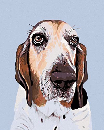 ZUTY 764220, Malen nach Zahlen-Basset 40x50 cm ohne Keilrahmen von ZUTY